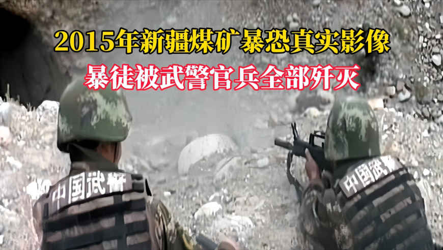 金赛纶投身弃宠志愿活动八年,澳门彩生肖分析走势图,权威独家讨论与热门话题_免费版V9.17
